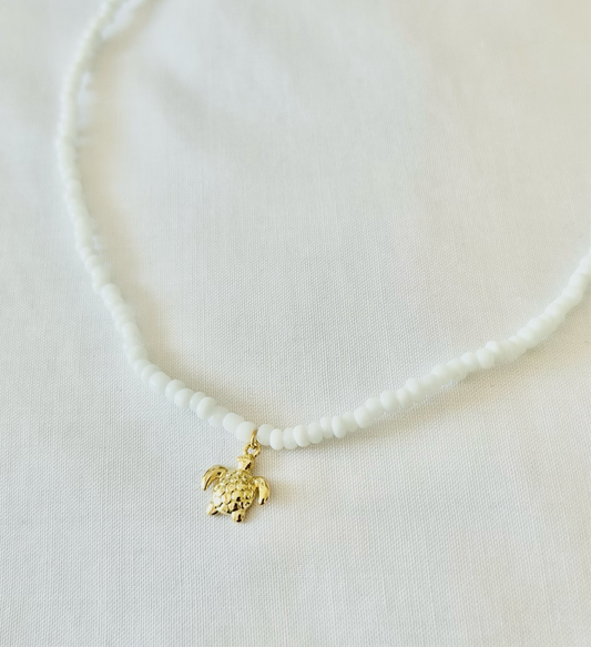 Collar tortuga
