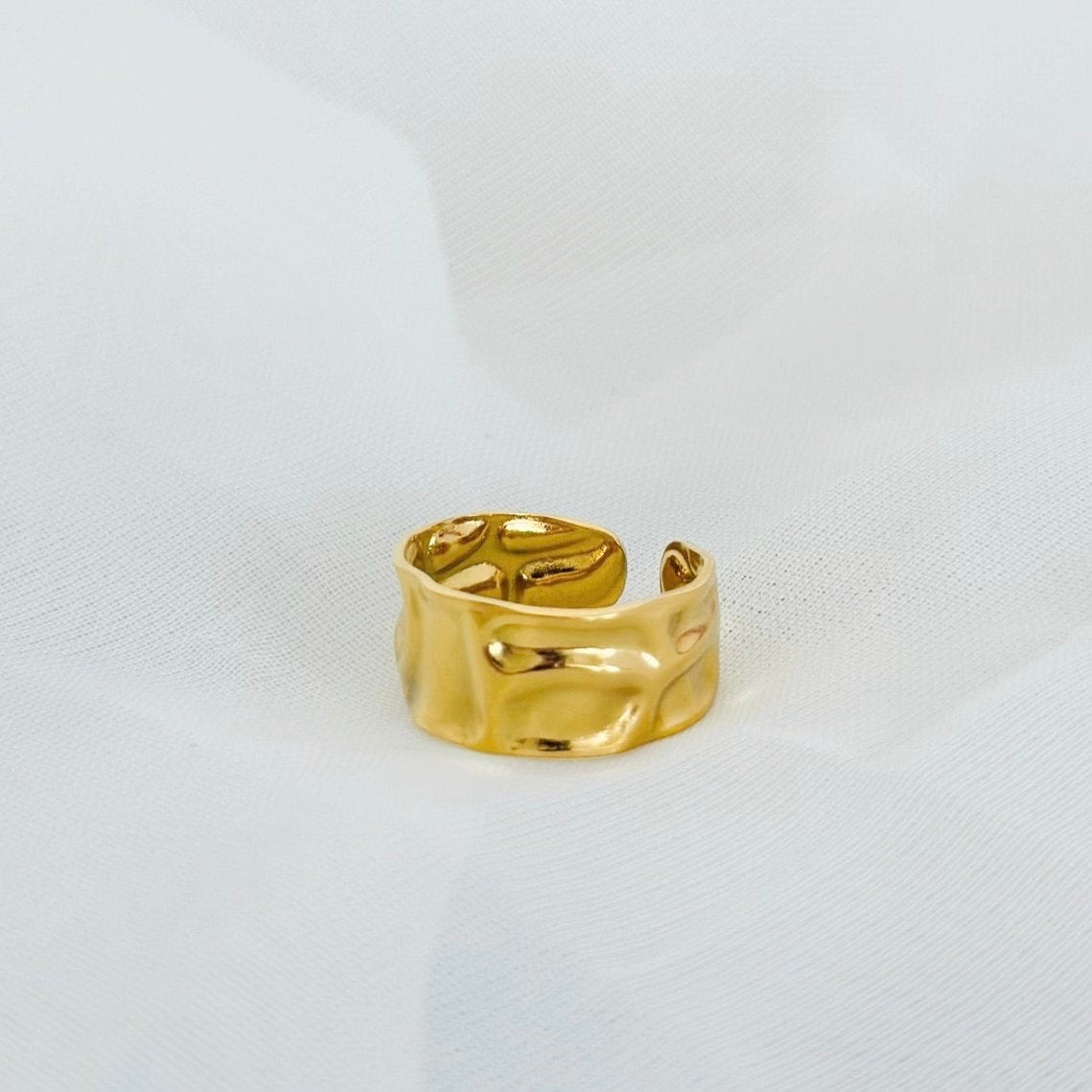 Anillo Zanzi